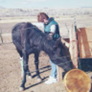 Meet your Posher, Beverly